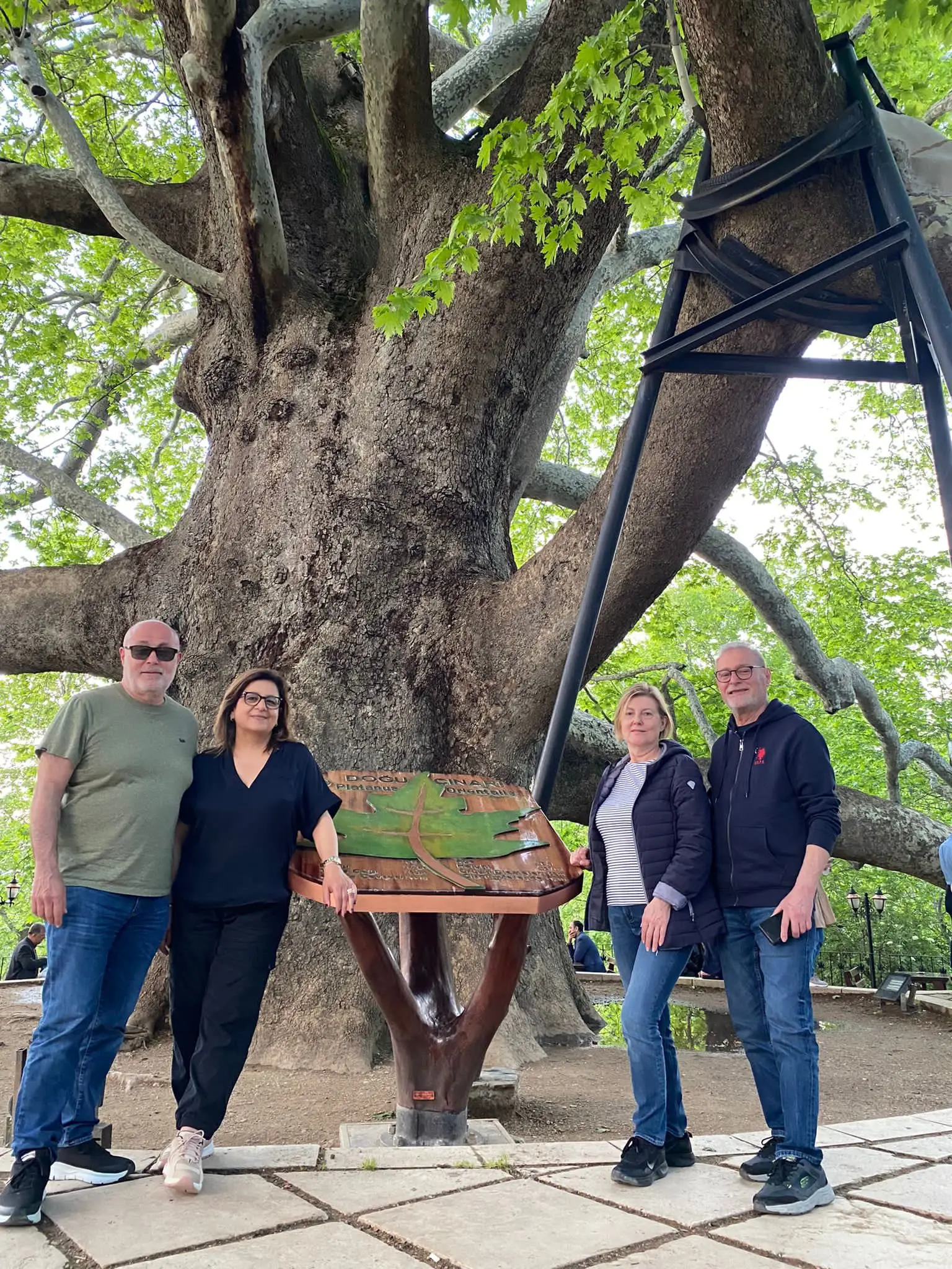 Bursa Historical Tours | Visit Inkaya Historical Plane Tree | Exclusive Private VIP Tours | Cool Travel Istanbul
