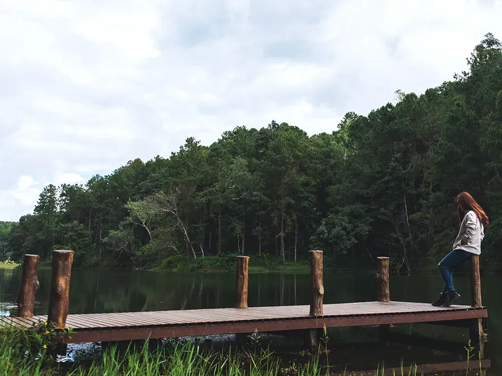 Luxury VIP Tours to Sapanca Lake | Private Sightseeing & Comfort | Cool Travel Istanbul