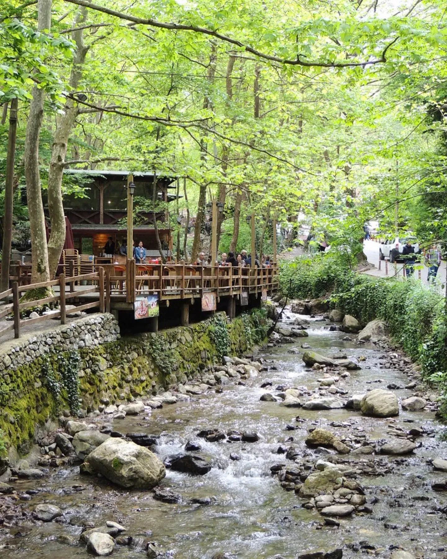 Luxury VIP Tours to Sapanca Lake | Private Sightseeing & Comfort | Cool Travel Istanbul