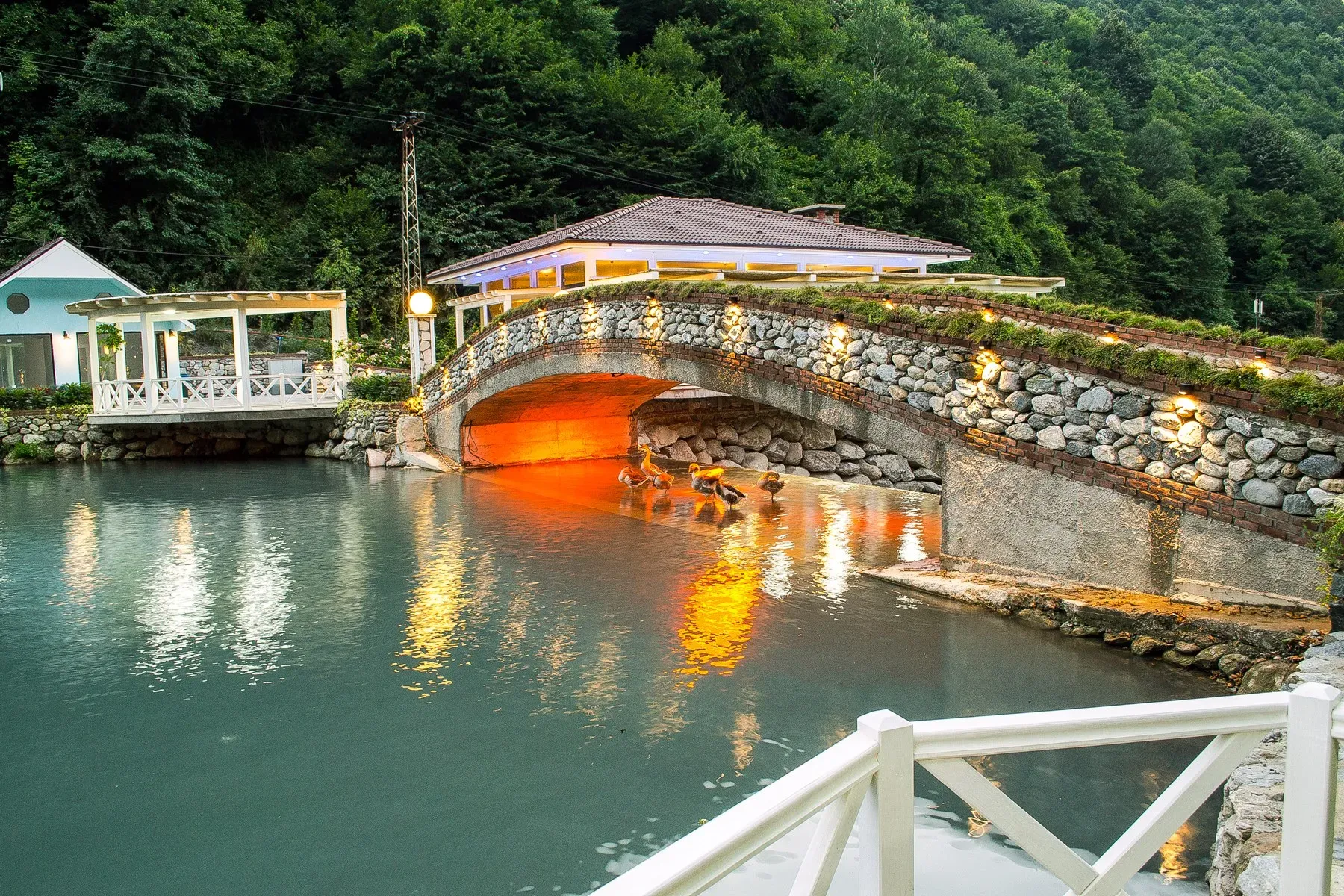 Private Sapanca Group Tours | Best Family Destinations | VIP Transportation | Cool Travel Istanbul