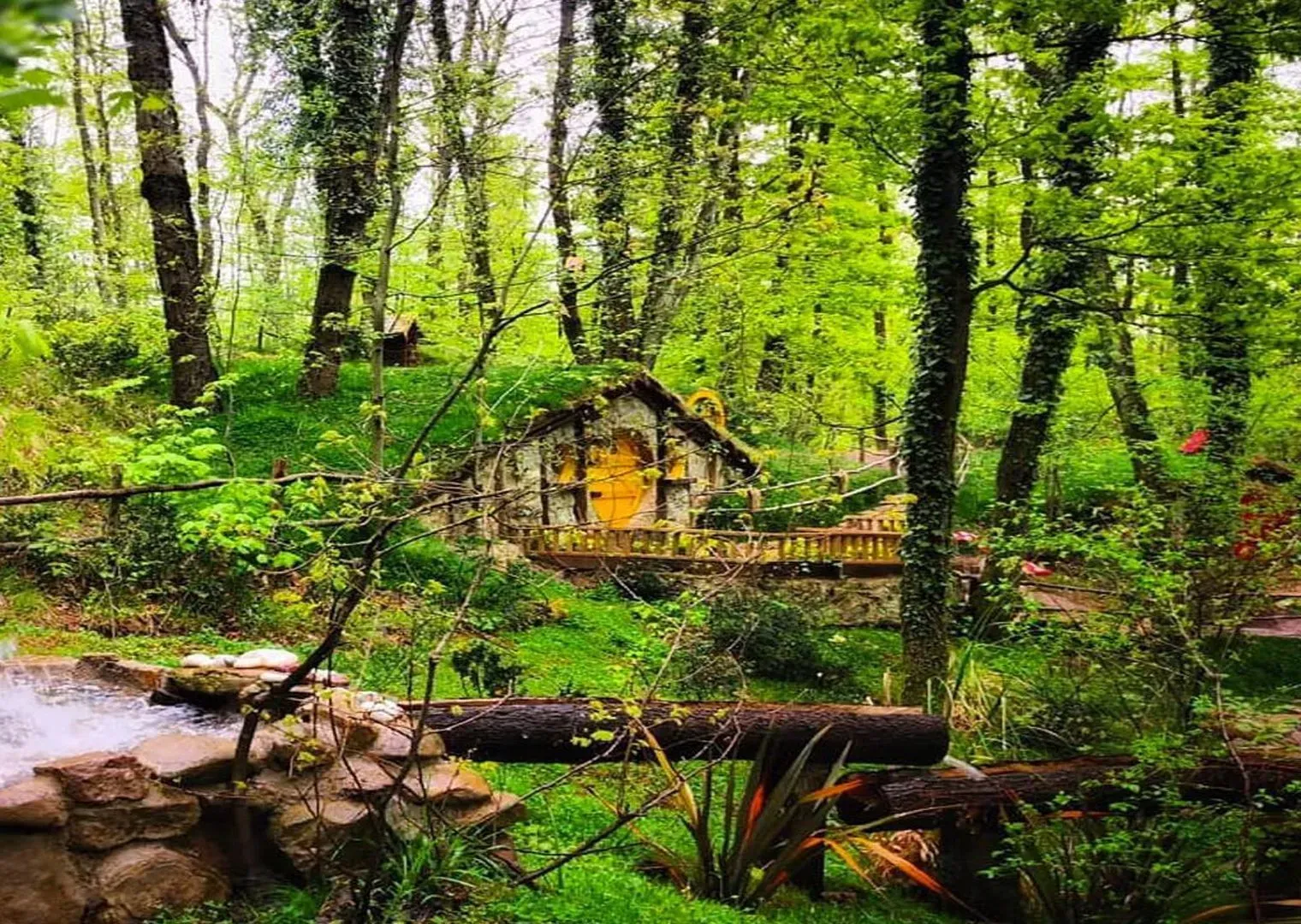 Private Sapanca Group Tours | Best Family Destinations | VIP Transportation | Cool Travel Istanbul