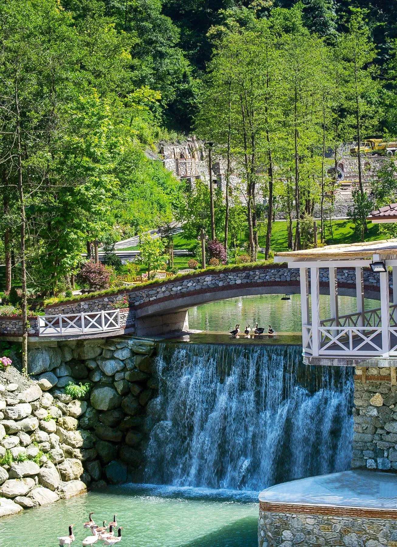 Private Sapanca Group Tours | Best Family Destinations | VIP Transportation | Cool Travel Istanbul