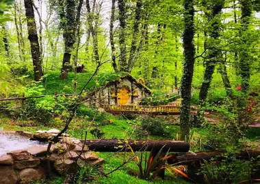 Private Sapanca Group Tours | Best Family Destinations | VIP Transportation | Cool Travel Istanbul