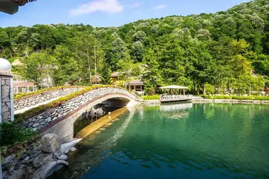Private Sapanca Group Tours | Best Family Destinations | VIP Transportation | Cool Travel Istanbul