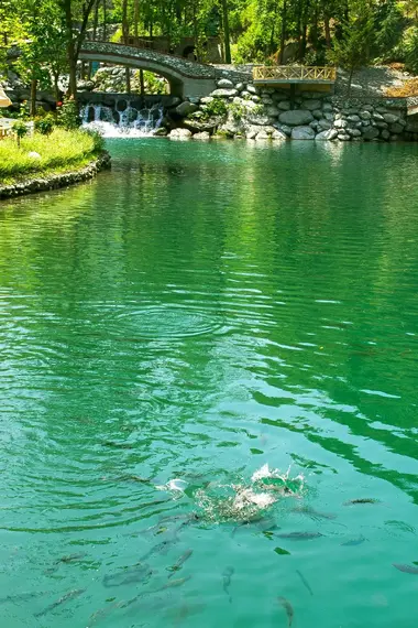 Private Sapanca Group Tours | Best Family Destinations | VIP Transportation | Cool Travel Istanbul