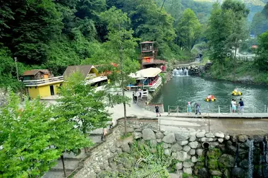 Sapanca Nature Tours | Escape to Peaceful Lakes | Exclusive Private VIP Tours | Cool Travel Istanbul