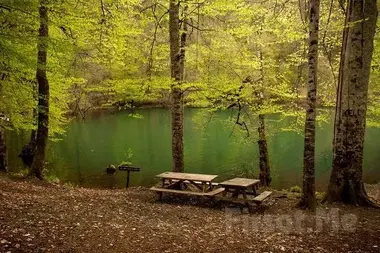 Sapanca Nature Tours | Escape to Peaceful Lakes | Exclusive Private VIP Tours | Cool Travel Istanbul