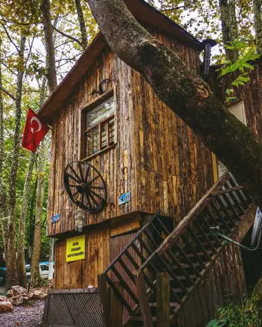 Sapanca Nature Tours | Escape to Peaceful Lakes | Exclusive Private VIP Tours | Cool Travel Istanbul