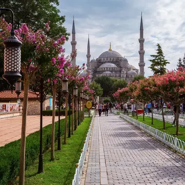 The Majestic Blue Mosque Experience