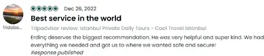 Travel Reviews: 5-Star Guest Experiences