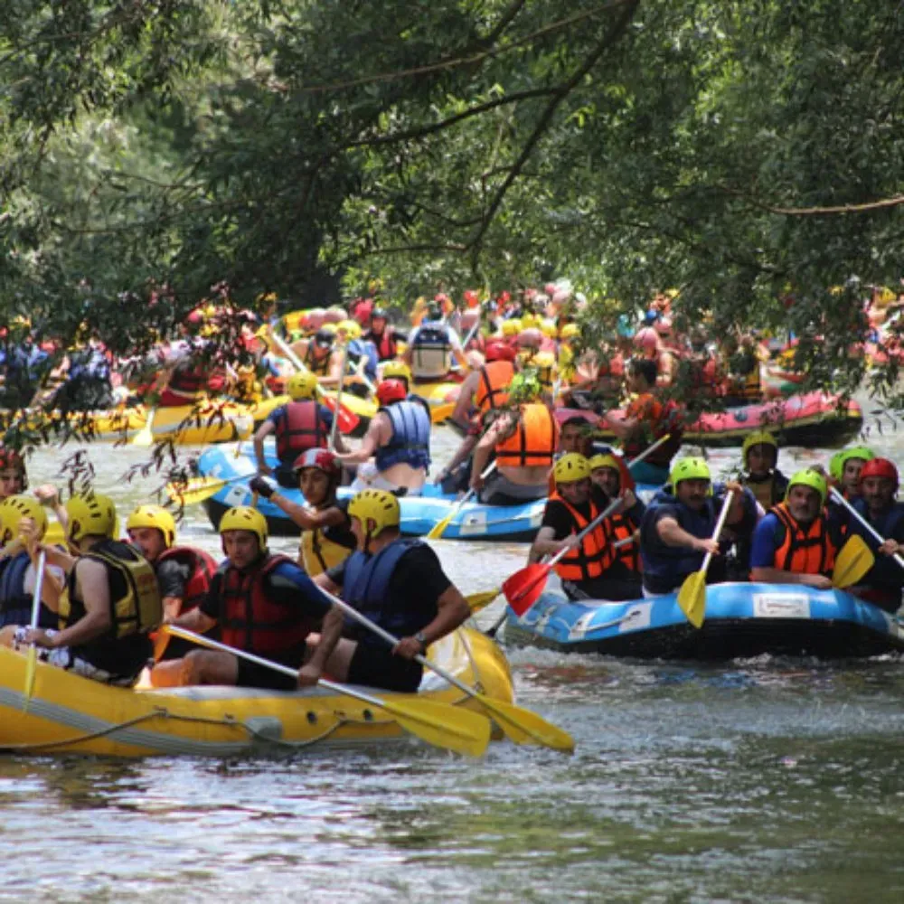 Sapanca Nature Tours | Escape to Peaceful Lakes | Exclusive Private VIP Tours | Cool Travel Istanbul