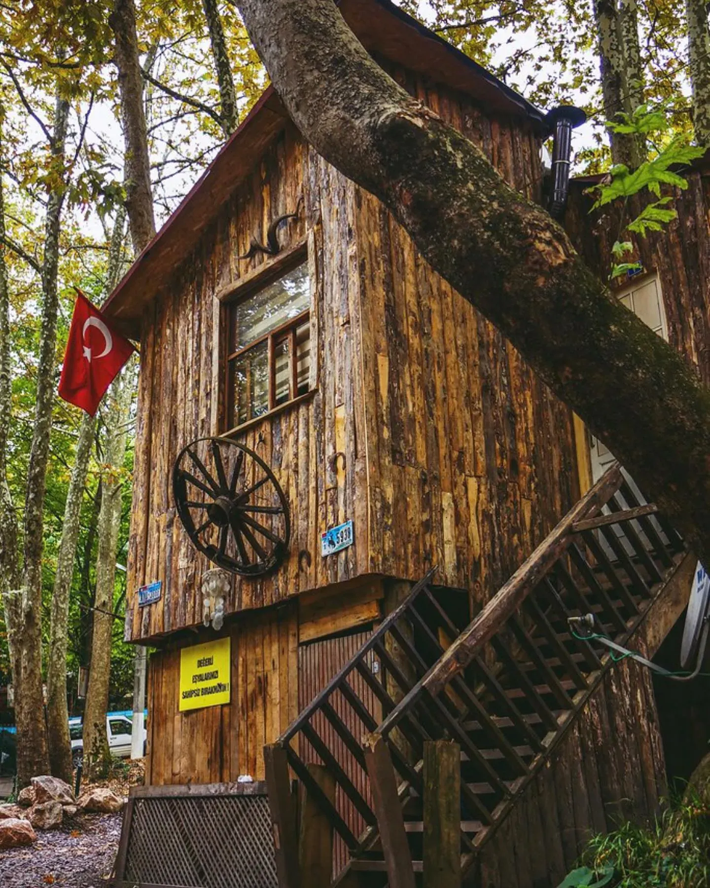 Sapanca Nature Tours | Escape to Peaceful Lakes | Exclusive Private VIP Tours | Cool Travel Istanbul
