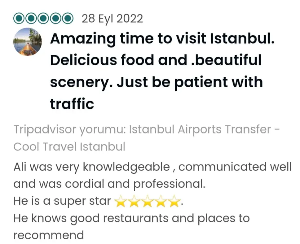 Travel Reviews: 5-Star Guest Experiences