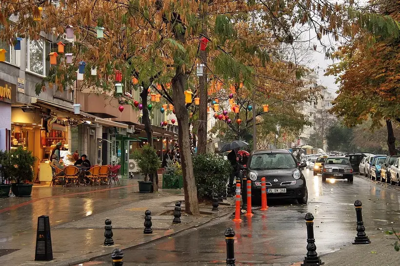 Cafe tables and hanging birdhouses on a wet December afternoon in Moda - photo: Jorge Franganillo / Wikimedia Commons / CC BY 3.0