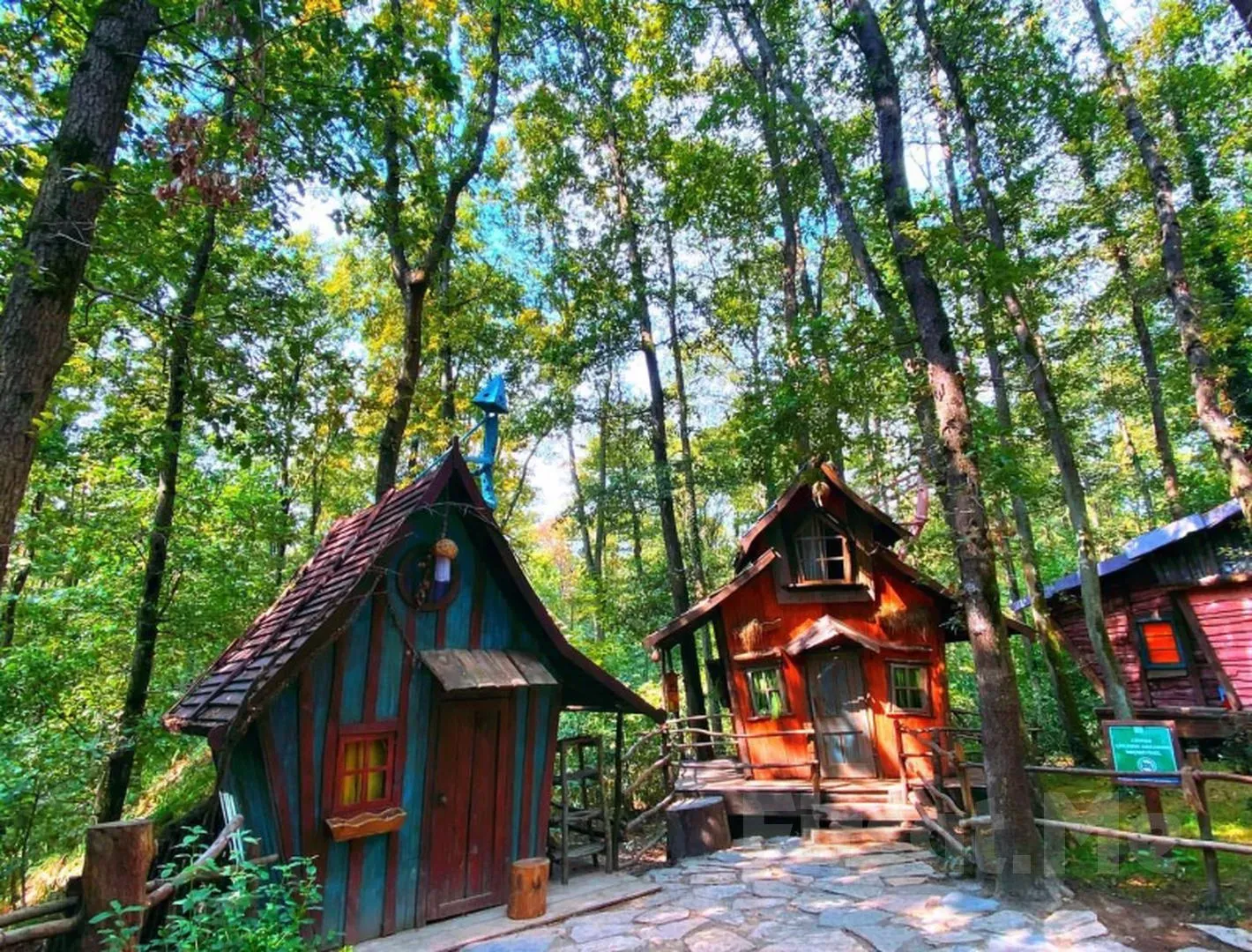 Sapanca & Masukiye Private Daily Tour 4