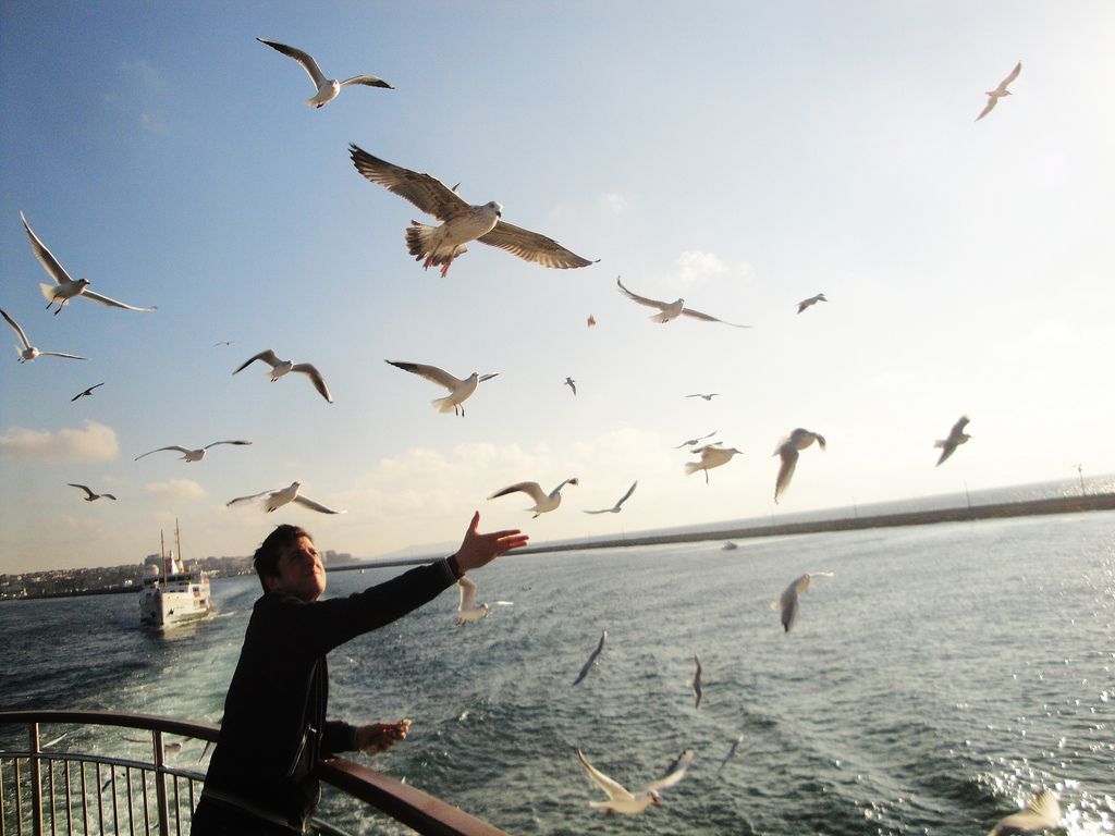 8 BEST BURSA HIGHLIGHTS FROM ISTANBUL - BURSA DAY TRIP • COOL TRAVEL ISTANBUL • HTTPS://COOLTRAVELISTANBUL.COM ways to get from istanbul to bursa by bus, ferry, private car, or tour